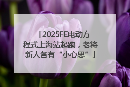 2025FE电动方程式上海站起跑，老将新人各有“小心思”